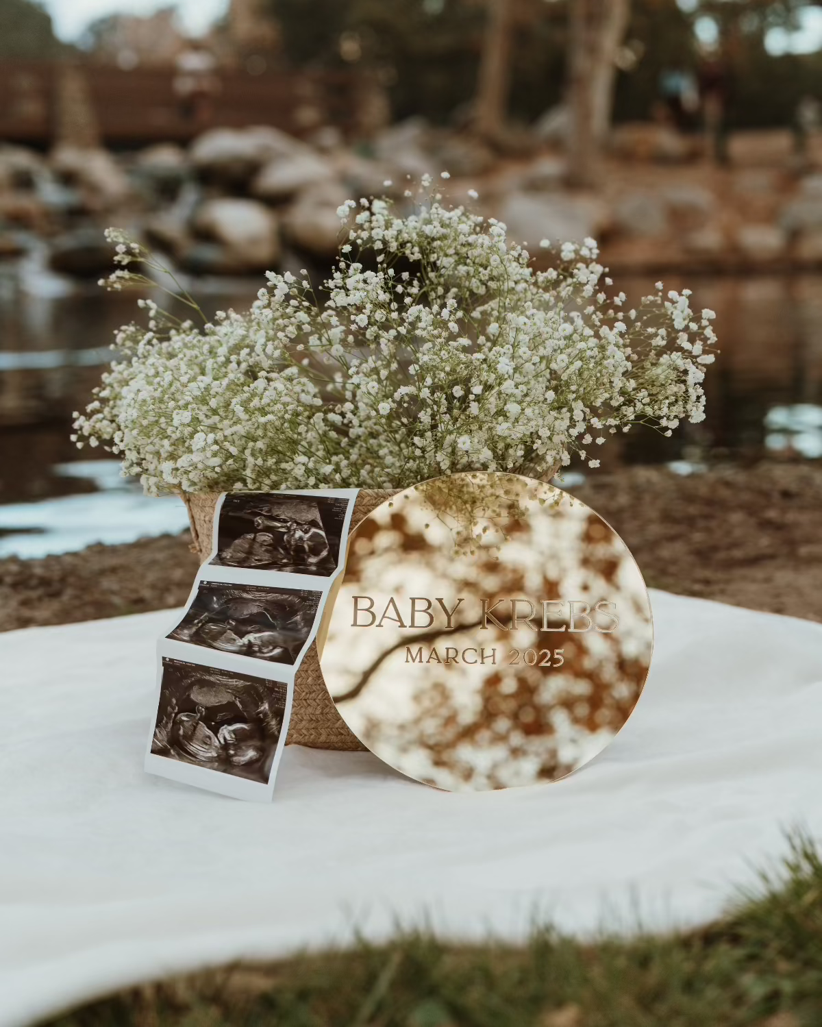 BABY COMING SOON ANNOUNCEMENT SIGN